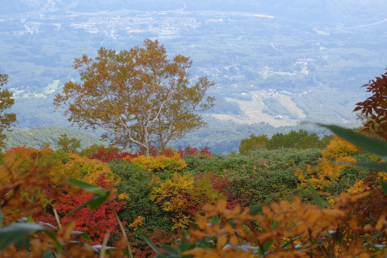 Schole Hakuba Hotel Luaran gambar