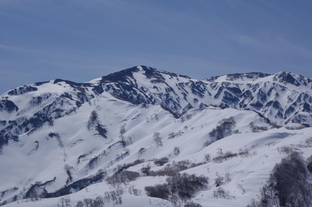 Schole Hakuba Hotel Luaran gambar